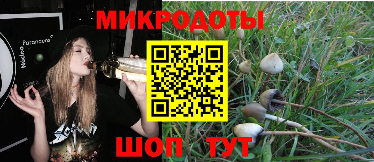 Шатура  продажа наркотиков  Галлюциногенные грибы MAGIC MUSHROOMS  Вход с VPN  Галлюциногенные грибы прущие грибы 