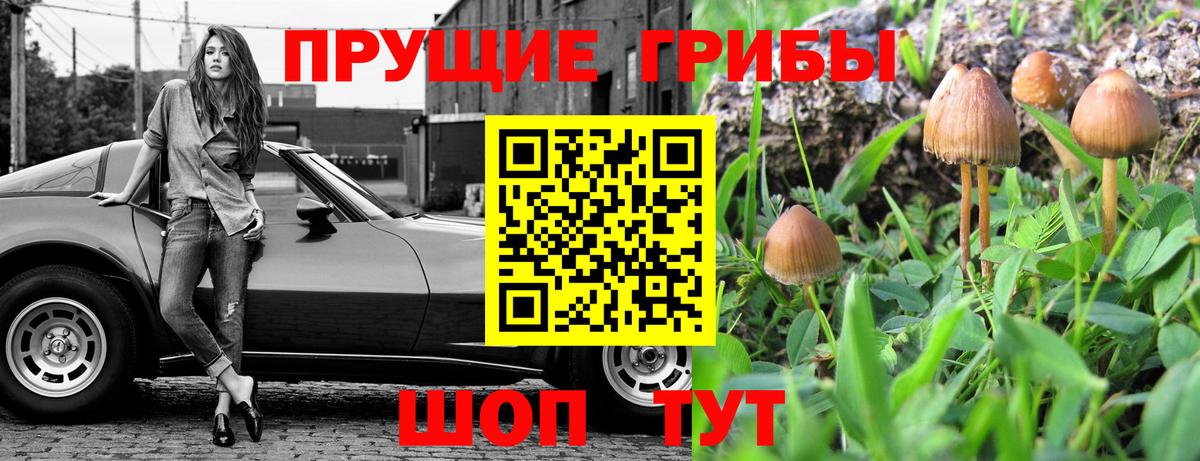 Галлюциногенные грибы Magic Shrooms Шатура